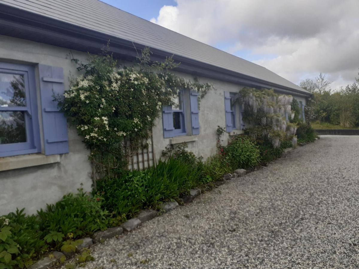 Escape To The Country Westport Exterior foto